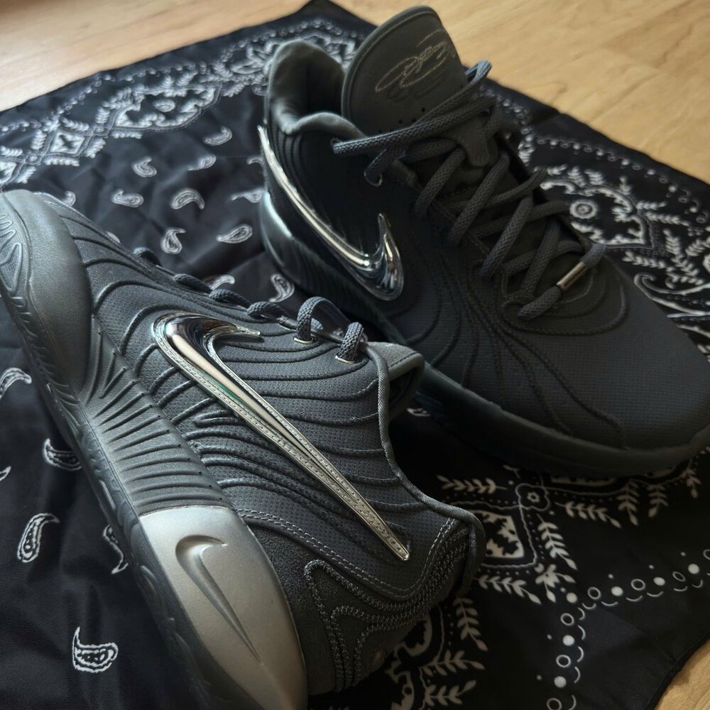 Nike LeBron 21 Resilient Size 11 - BRAND NEW